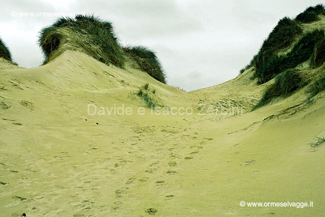 Dune presso Durness 14-24-98